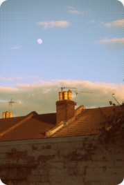 roofs and moon